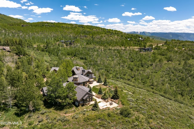 1006 Chiming Bells, Avon, CO 81620 - view of subject property featuring a forest and a mountainous background