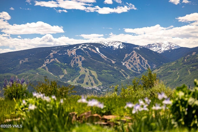 1006 Chiming Bells, Avon, CO 81620 - view of mountain background