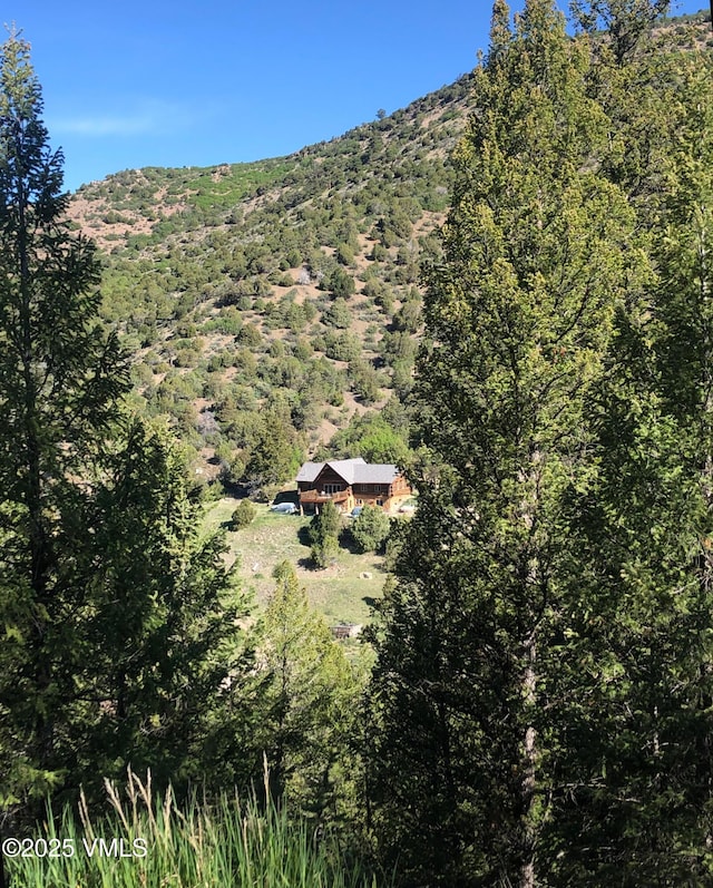 3256 Salt Creek Rd, Eagle, CO 81631 - photo 36