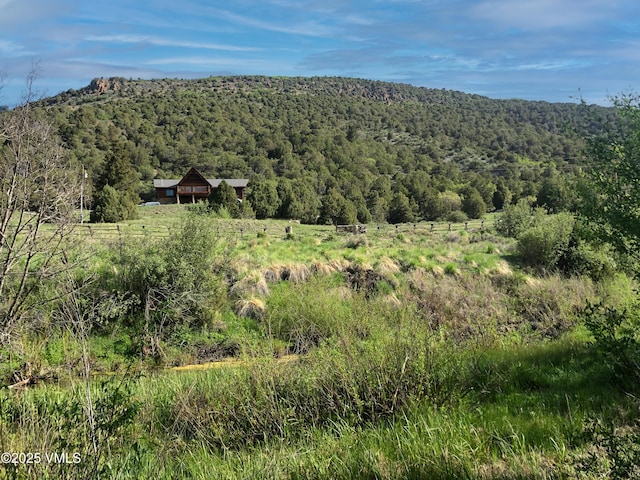 3256 Salt Creek Rd, Eagle, CO 81631 - photo 1