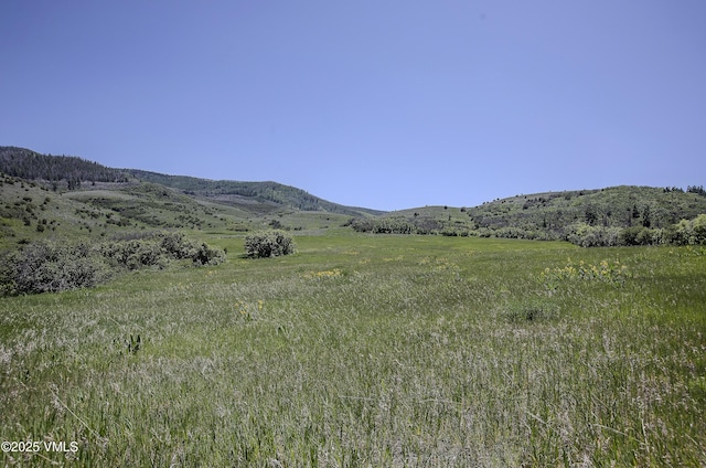 3256 Salt Creek Rd, Eagle, CO 81631 - photo 29