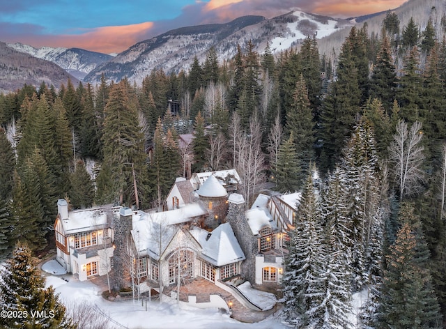 443 Beaver Dam Rd, Vail, CO 81657 - mountain view with a heavily wooded area