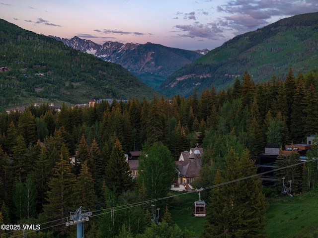443 Beaver Dam Rd, Vail, CO 81657 - view of mountain background featuring a forest