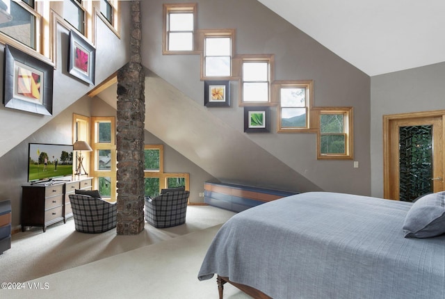 carpeted bedroom with high vaulted ceiling