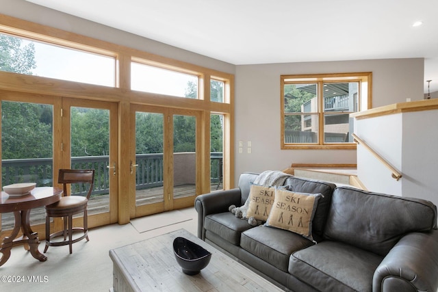 carpeted living room with plenty of natural light