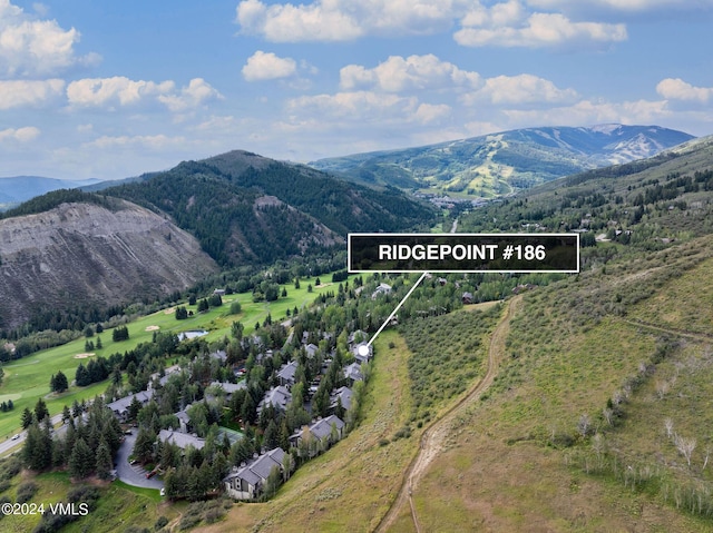 186 Willis Pl Unit 186, Beaver Creek, CO 81620 - mountain view