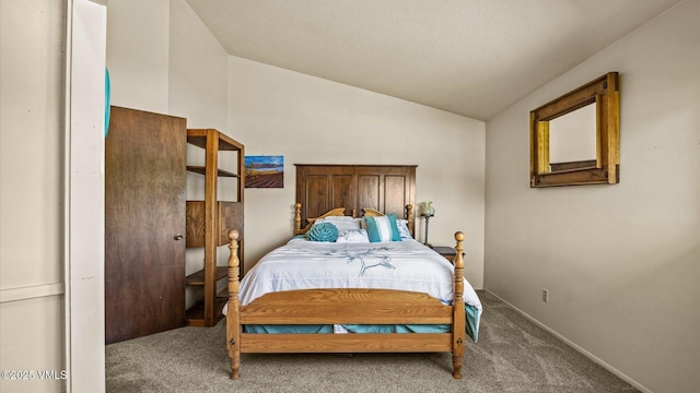 541 20 1/2 Rd, Grand Junction, CO 81505 - bedroom with carpet and vaulted ceiling