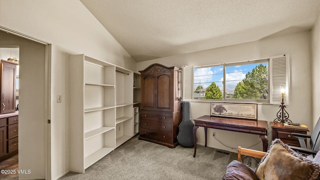 541 20 1/2 Rd, Grand Junction, CO 81505 - sitting room with vaulted ceiling, light colored carpet, and a textured ceiling