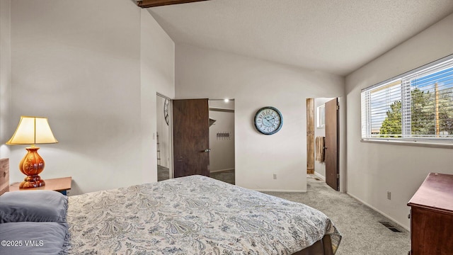 541 20 1/2 Rd, Grand Junction, CO 81505 - bedroom featuring carpet, lofted ceiling, and a textured ceiling