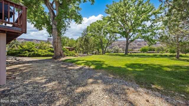541 20 1/2 Rd, Grand Junction, CO 81505 - view of grassy yard featuring a mountain view