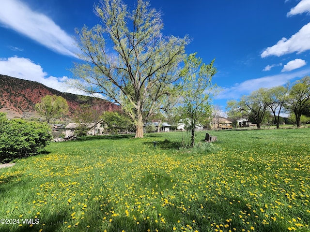 102 County Road 156, Glenwood Springs, CO 81601