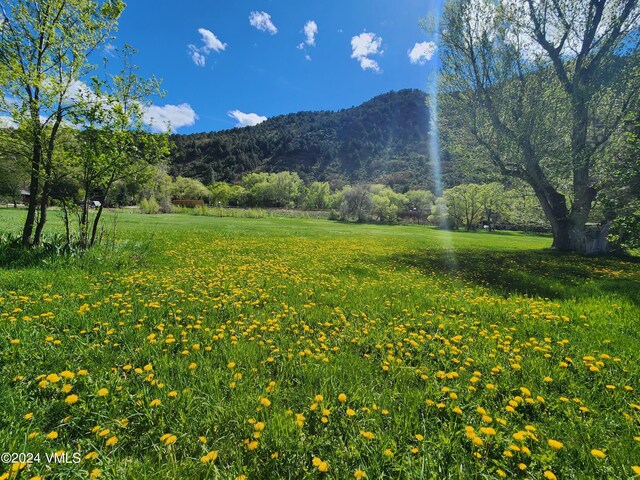 102 County Road 156, Glenwood Springs, CO 81601
