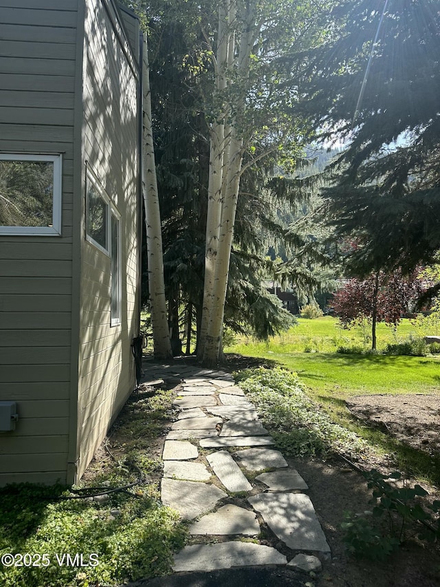 358 Stone Creek Dr Unit 1, Eagle-Vail, CO 81620 - view of yard