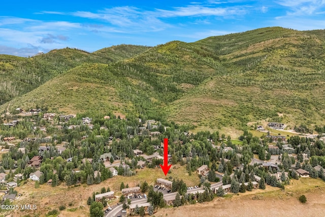 2487 Chamonix Ln Unit F1, Vail, CO 81657 - photo 24