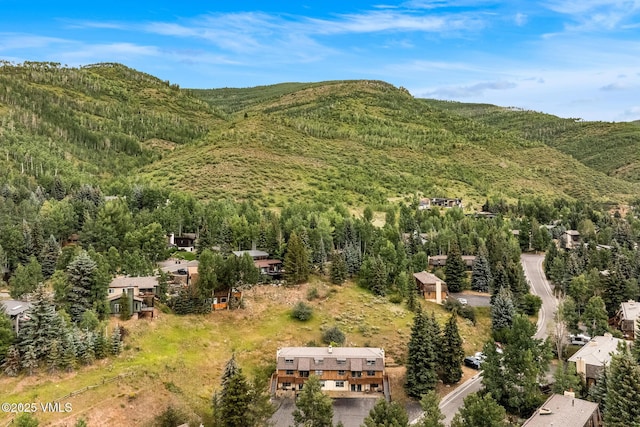 2487 Chamonix Ln Unit F1, Vail, CO 81657 - photo 26
