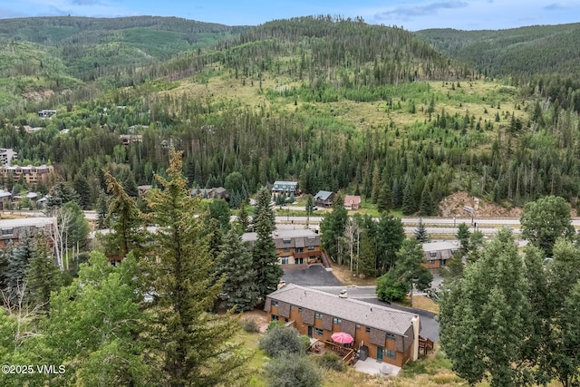 2487 Chamonix Ln Unit F1, Vail, CO 81657 - photo 23