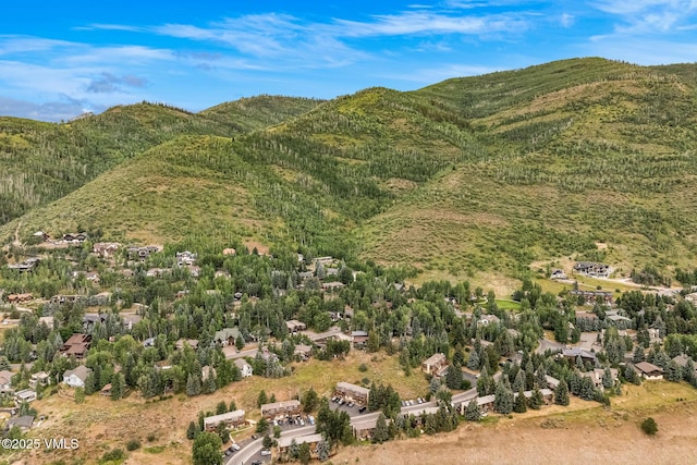 2487 Chamonix Ln Unit F1, Vail, CO 81657 - photo 25