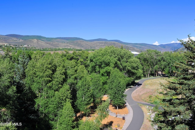 295 Main St Unit R-306, Edwards, CO 81632 - mountain view