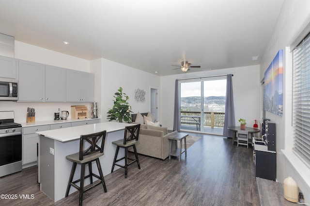 kitchen featuring open floor plan, stainless steel appliances, light countertops, and dark wood-style floors