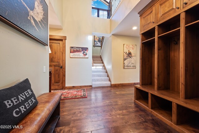 mudroom with a high ceiling and dark wood-type flooring