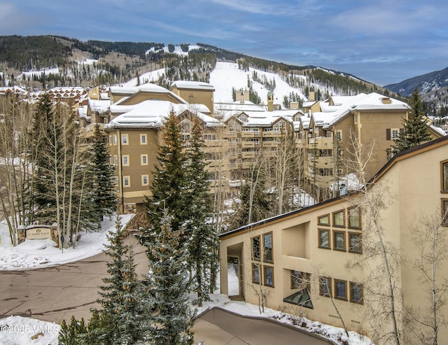 snow covered property featuring a mountain view