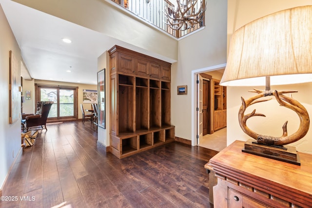 entrance foyer with a towering ceiling and dark hardwood / wood-style flooring