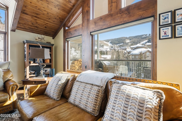 living area featuring vaulted ceiling, a mountain view, a baseboard heating unit, and wood ceiling