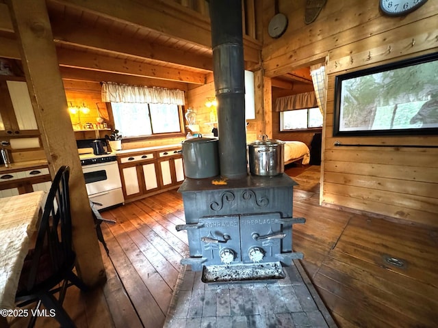 1234 6th St, Eagle, CO 81631 - interior space featuring wooden walls, hardwood / wood-style flooring, and a wood stove