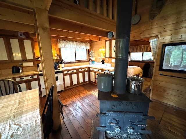 1234 6th St, Eagle, CO 81631 - dining space featuring wooden walls, hardwood / wood-style flooring, and a wood stove