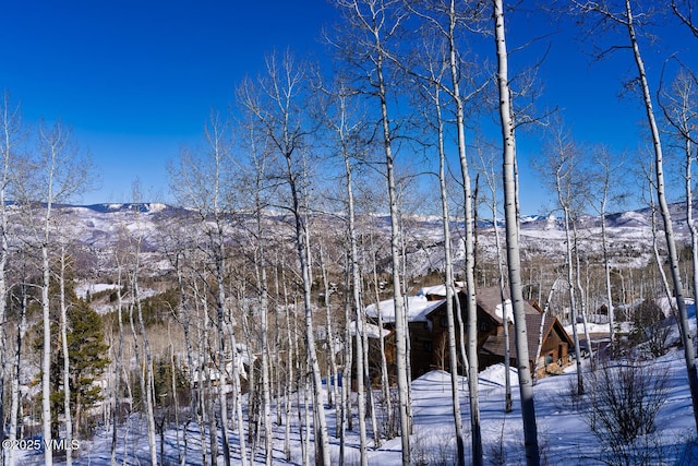 view of mountain feature