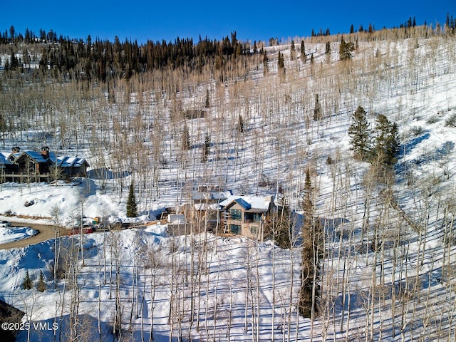 view of snowy aerial view