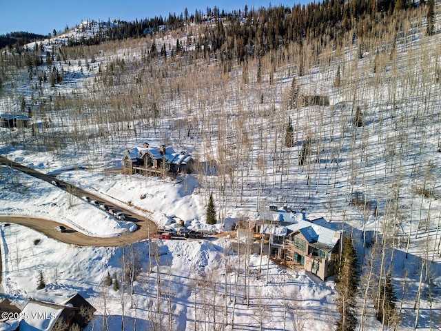 view of snowy aerial view