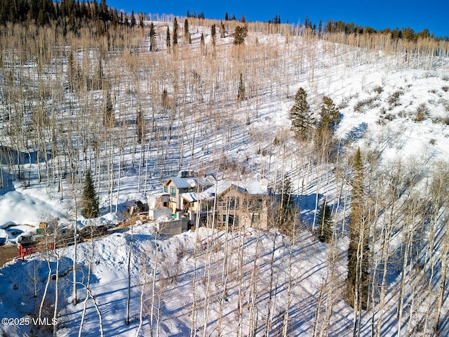 view of snowy aerial view