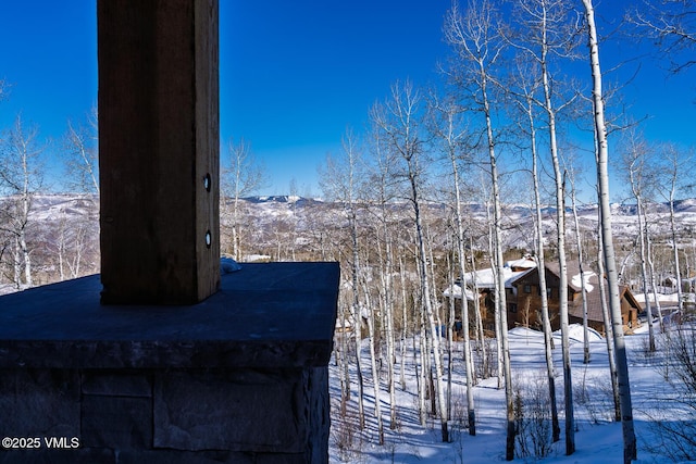 view of snowy yard