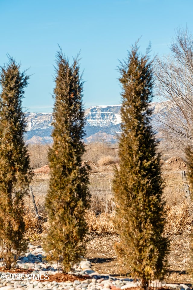 329 River Frontage Rd Unit 18, Silt, CO 81652 - view of mountain feature