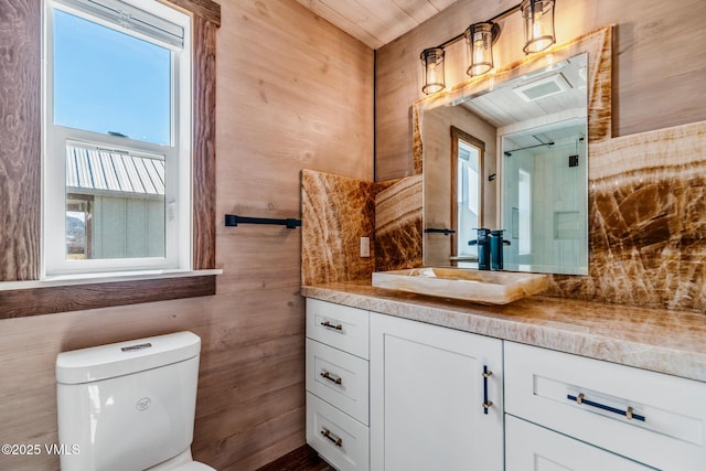 329 River Frontage Rd Unit 18, Silt, CO 81652 - bathroom with wooden walls, vanity, and toilet