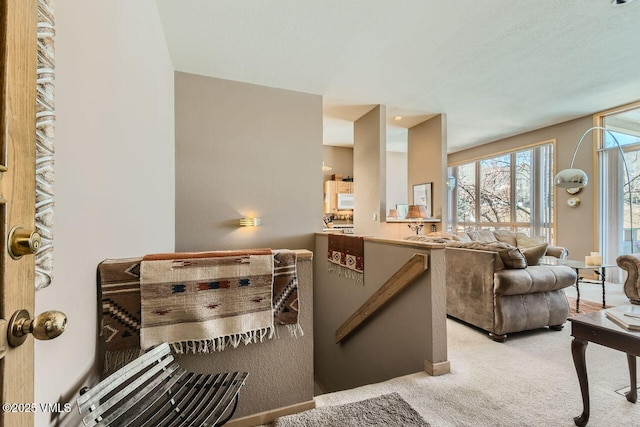 view of carpeted living area