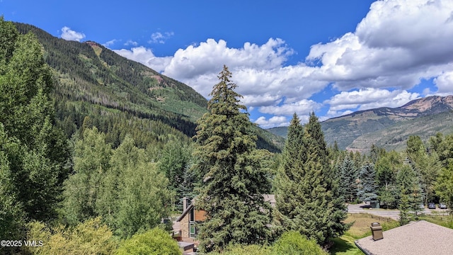 5024 Main Gore Dr S Unit 16, Vail, CO 81657 - view of mountain backdrop featuring a forest
