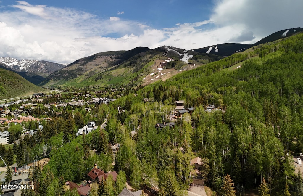 324 Beaver Dam Rd Unit B, Vail, CO 81657