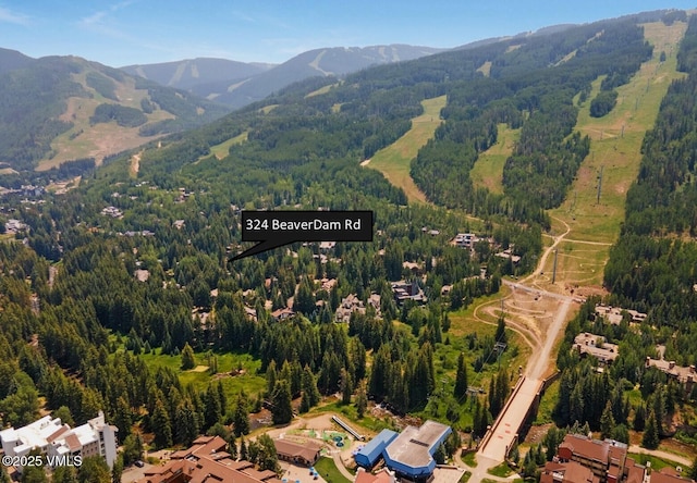324 Beaver Dam Rd Unit B, Vail, CO 81657 - photo 22