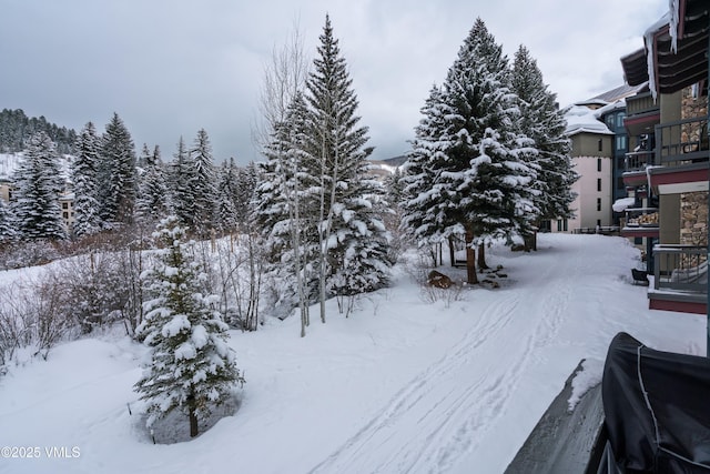 view of yard covered in snow