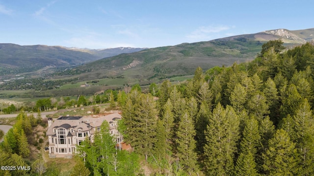 460 El Mirador Rd, Edwards, CO 81632 - view of mountain background
