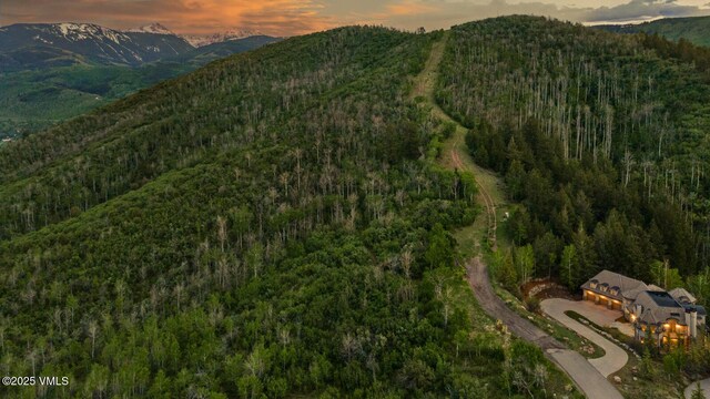 460 El Mirador Rd, Edwards, CO 81632 - view of mountain backdrop with a forest