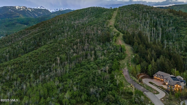 460 El Mirador Rd, Edwards, CO 81632 - mountain view featuring a heavily wooded area