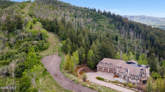460 El Mirador Rd, Edwards, CO 81632 - view of subject property featuring a forest and a mountain backdrop