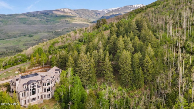 460 El Mirador Rd, Edwards, CO 81632 - view of mountain background with a forest