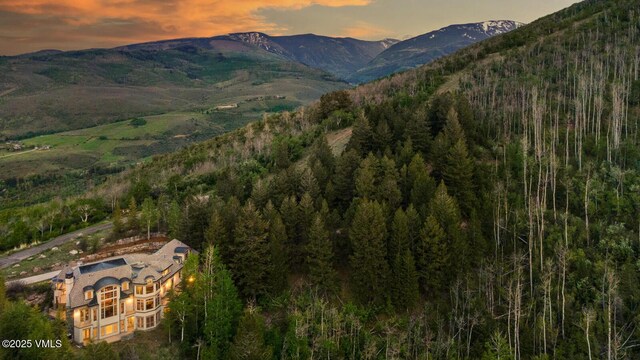 460 El Mirador Rd, Edwards, CO 81632 - mountain view with a forest