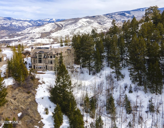 460 El Mirador Rd, Edwards, CO 81632 - mountain view