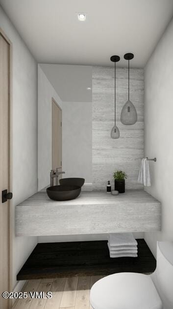 bathroom featuring vanity, toilet, and wood finished floors