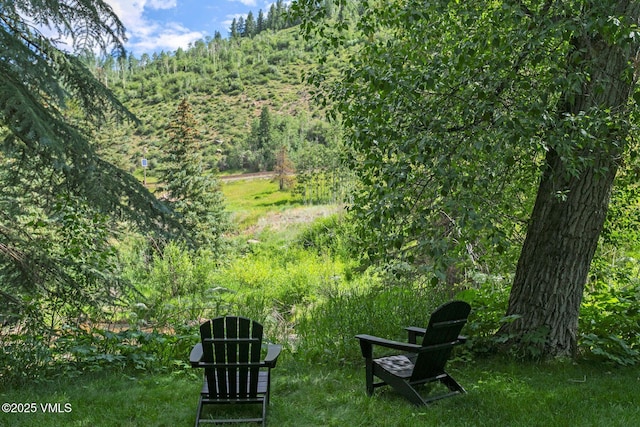 4610 Vail Racquet Club Dr Unit 2, Vail, CO 81657 - view of yard with a wooded view
